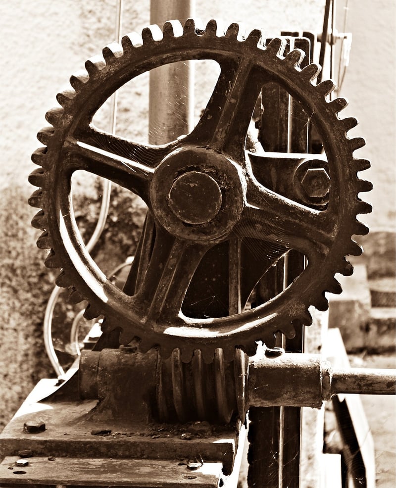 Whimsical Gear