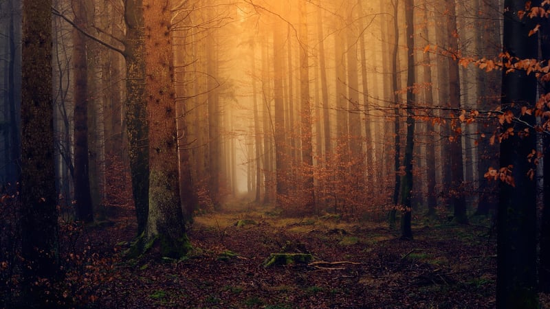 Mystical Lighting